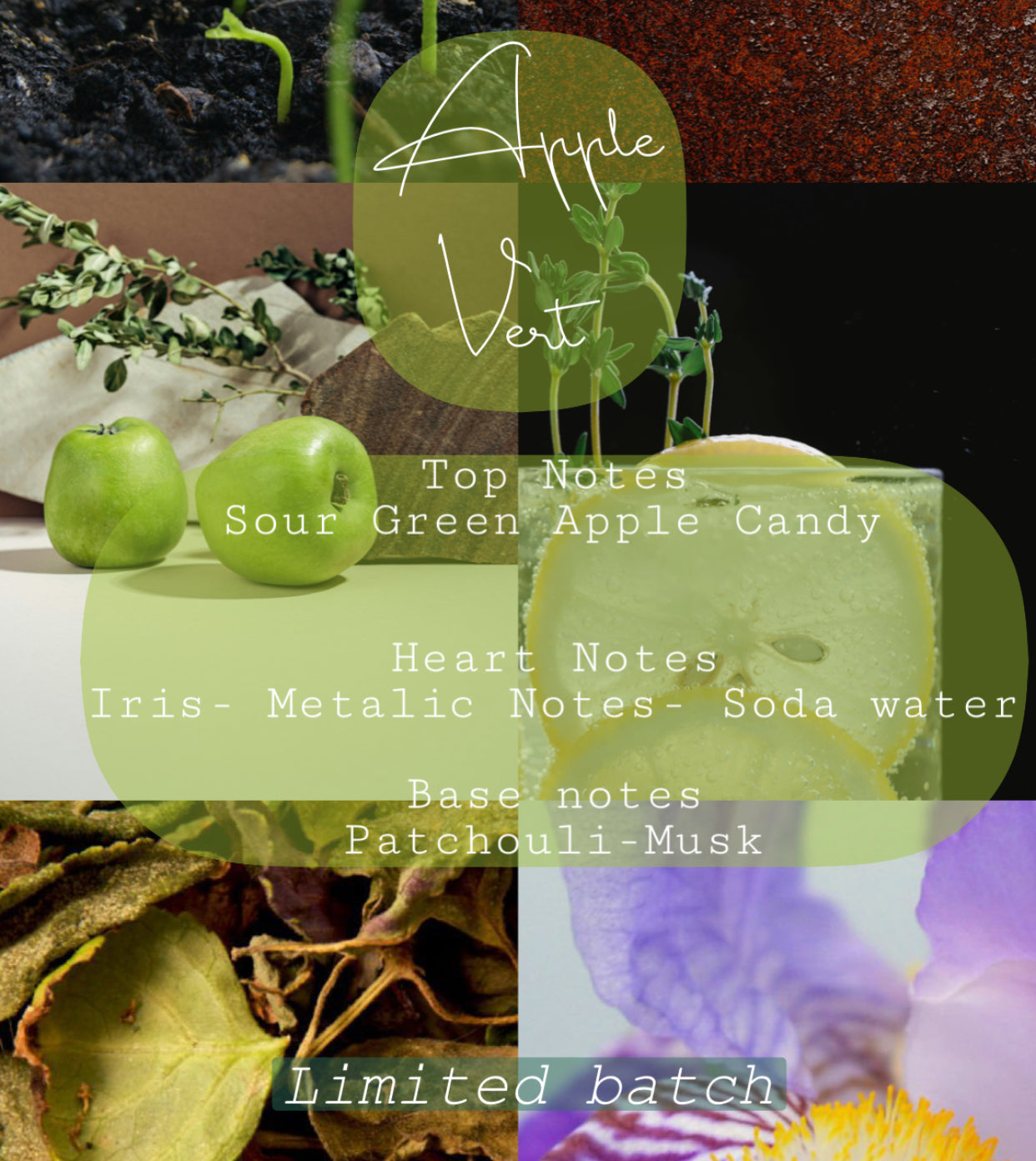 Apple Vert